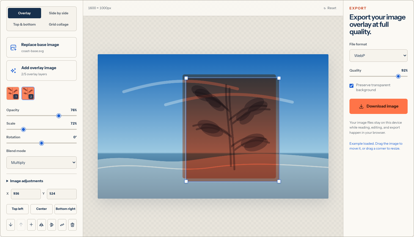 Image format and quality controls on the export panel
